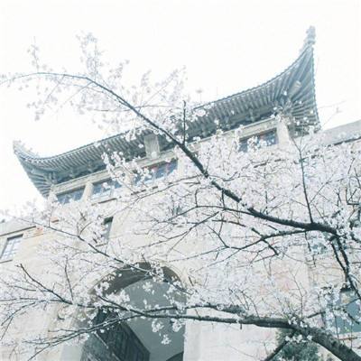 快玩盒子官方版下载