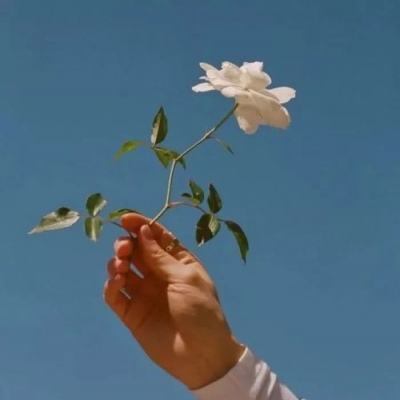 幽灵庄园的秘密5黄金之书中文版下载